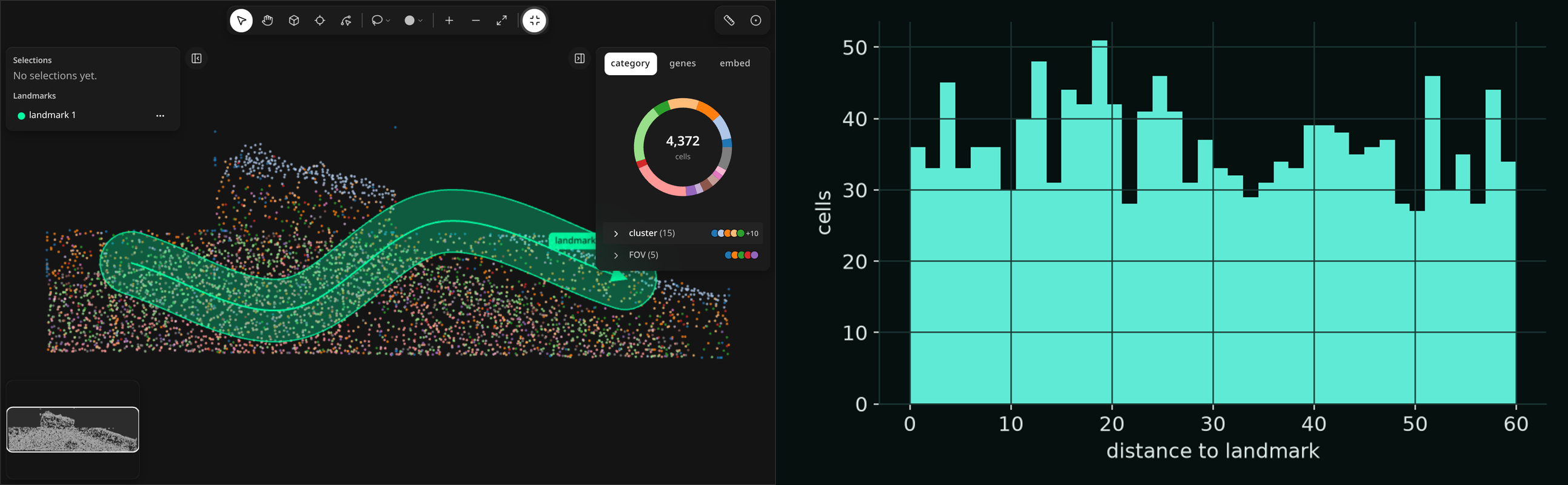 Left: the widget with one spline landmark and a wide buffer. Right: a histogram of each cell's distance to that landmark.