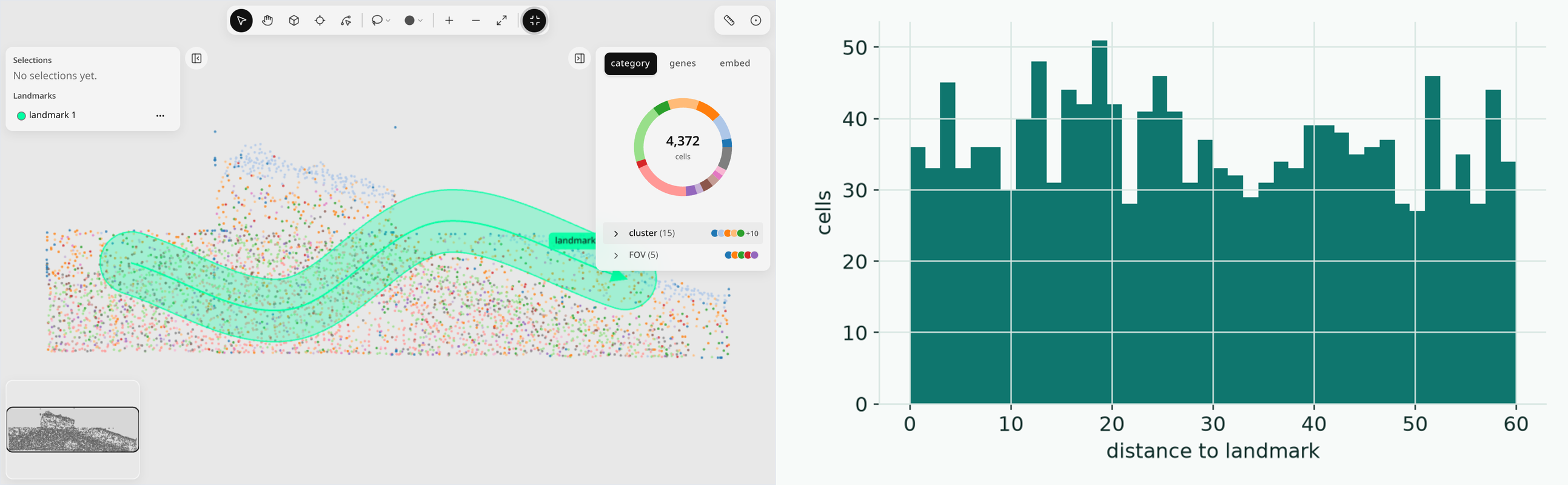 Left: the widget with one spline landmark and a wide buffer. Right: a histogram of each cell's distance to that landmark.
